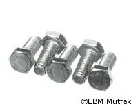 Rational 1008.0763P ALTIGEN VİDA M8X20