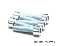 Rational 10.00.107 Vida, Alyan Başı, M10 x 30MM, 5'li Paket