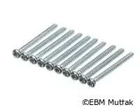 Rational 10.00.238 Vida, Tava Başı, Torx, M4 x 50, 10'lu Paket