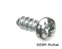 Rational 10.00.239 EJOT PT Vida, Torx, 4x10