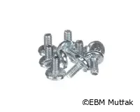 Rational 10.00.507 Vida, Torx Sürücü, 5/16", T20 Diş Şekillendirme, 10'lu Paket