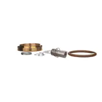 Hobart 00-892072 Tamir Takımı, 3/4" Buhar Solenoid Vanası