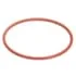 Rational 22.00.837P O-Ring, Nem Kontrolü