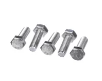 RATIONAL Altıgen Vida M8x25 HEX SCREW M8X25 1008.0761