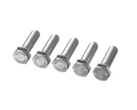 Rational 1008.0766P ALTIGEN VİDA M8X30