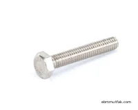 MEIKO Vida Seti SET SCREW M6 X 8 DIN 916 0302004