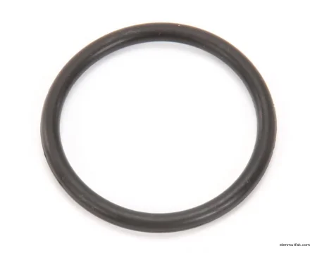 Henny Penny 16902 O-Ring, Kapak Ağırlık Valfi