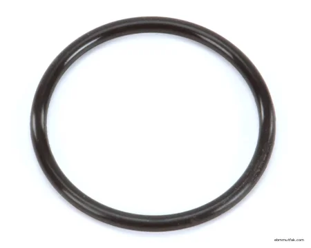Hoshizaki 4A4755-01 O-Ring, Muhafaza