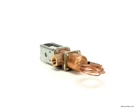 Hoshizaki 4A0911-06 Su Akış Regülatörü