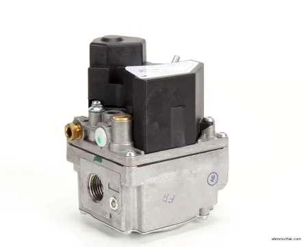 Henny Penny 80761 Doğalgaz Vanası, 24V