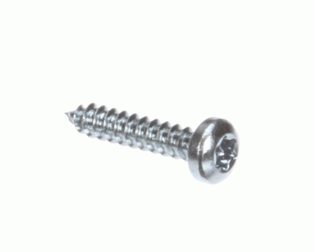 Robot Coupe 203056 Vida, Torx Başlı, 3,9 x 19