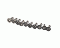 Rational 1006.1962P Torx Düz Başlı Vida, M6 x 16 mm, 10'lu Paket