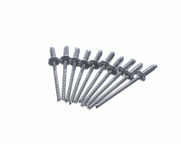 Rational 1603.0168P Perçin Seti, 3,2 x 8 mm, Paslanmaz Çelik, 10 Adet